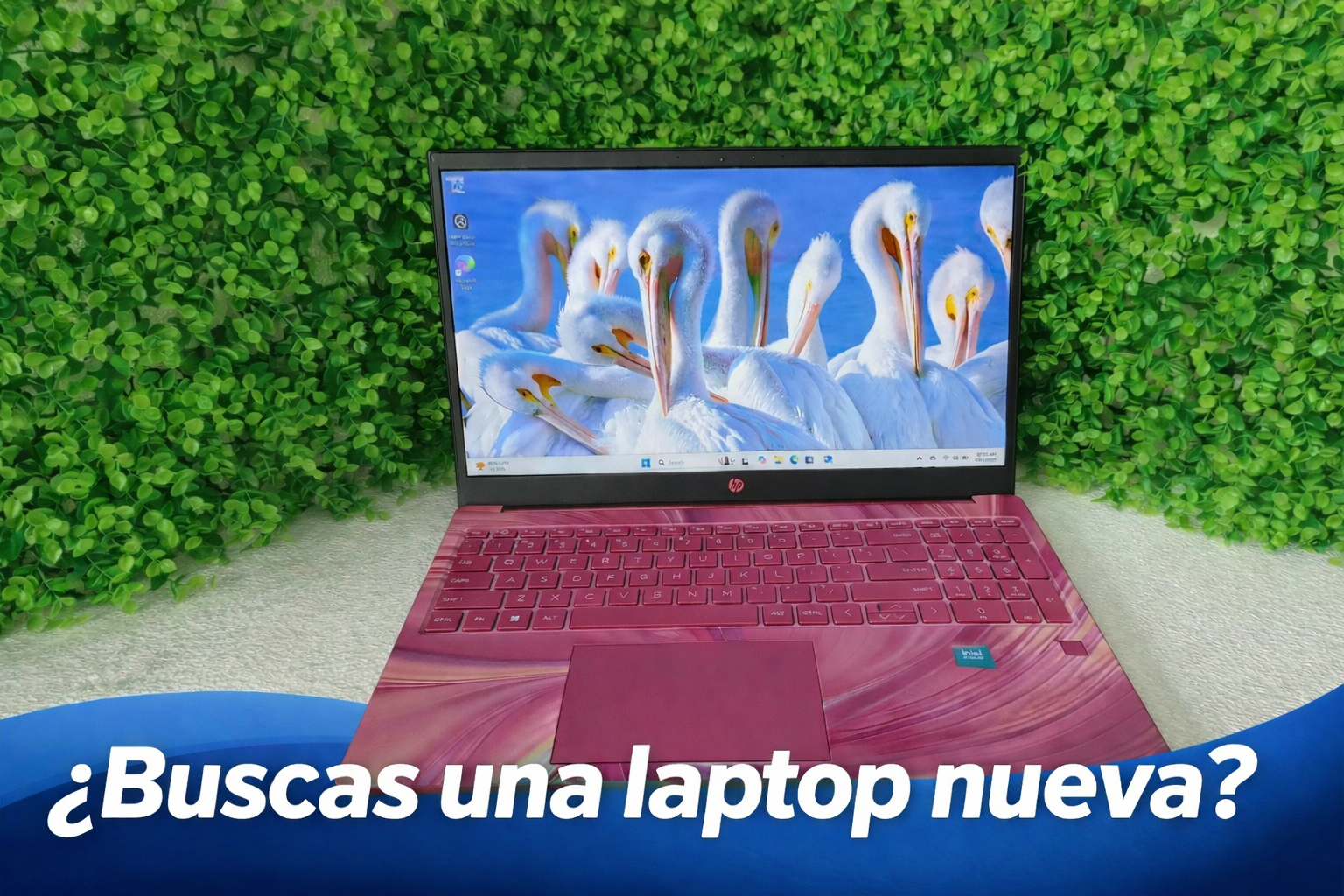 39ff8ec5-0e1f-480f-9511-3b8e86e14f15